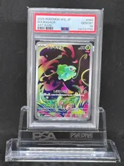 2026年最新】フシギダネAR psa10の人気アイテム - メルカリ