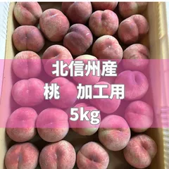 北信州産　桃　白桃　加工用　5kgのサムネイル