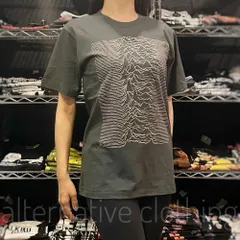Tシャツ ジョイ・ディヴィジョン JOY DIVISION アンノウン・プレジャーズ Unknown Pleasures ロック バンド bny JD-06-Sのサムネイル