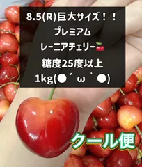 糖度29度超え！希少レーニアチェリー 1kg ギフトにも - メルカリ