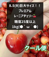 超希少8.5Rレーニアチェリー 高級チェリー食べ比べセット 2kg クール便