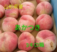 桃　あかつき　訳あり　3kg　7月下旬〜8月上旬発送予定のサムネイル