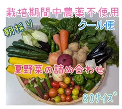 7/11(土)発送　《クール便》　夏野菜の詰め合わせ　80サイズ じゃがいも　ピーマン　オクラ　ナス　オカワカメ　トマト　栽培期間中農薬不使用　野菜詰め合わせ　8０ｻｲｽﾞ　じゃがいも　ピーマン　オクラ　ナスのサムネイル