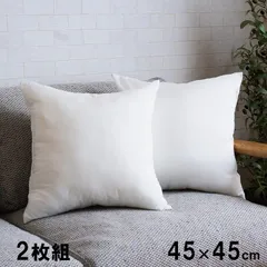セアテ クッション 座布団 ヌード 45×45cm 2個組のサムネイル