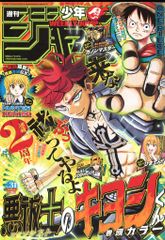 ベルフーズ✴︎バトルストライカーPオデット2枚セット ベルフーズ バトルストライカー Pオデット（フェアリーFC） - メルカリ