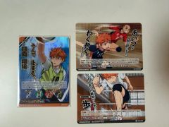 ハイキュー!! 日向翔陽 田中龍之介 及川徹 バボカ ファンフェス 限定