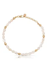 エティカ レディース アクセサリー ブレスレット・バングル・アンクレット アンクル Ettika Beaded Freshwater Pearl Anklet GOLD ゴールドのサムネイル