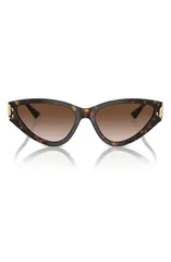 ジミーチュー メンズ アクセサリー サングラス・アイウェア Jimmy Choo 55mm Gradient Cat Eye Sunglasses HAVANA GRADIENT BROWN ブラウンのサムネイル