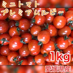 ミニトマト 箱込み 1kg 農家直送 甘い プチトマト トマト プレミアムルビー 新鮮 野菜 夏野菜のサムネイル
