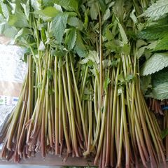 秋田県産天然 山菜 カットミズ1㎏です☆ - メルカリ