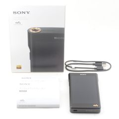 WALKMAN NW-WM1AM2（ケース付） Sennheiser IE300 - メルカリ