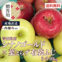 （クール便）贈答用 青森県産 りんご シナノゴールド×葉とらず有袋ふじ 10kg 送料無料 産地直送のサムネイル