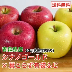 青森県産 りんご シナノゴールド×葉とらず有袋ふじ 10kg 訳あり 送料無料 産地直送のサムネイル