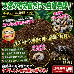 カブトムシ幼虫を低コストで大きくしたい方に！ ハイコスパ発酵