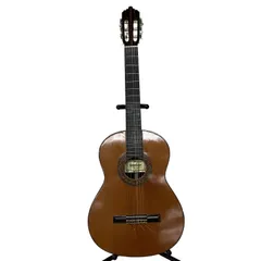 2026年最新】SHINANO GUITARの人気アイテム - メルカリ