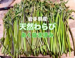 わらび（紀伊山地）500g - メルカリ