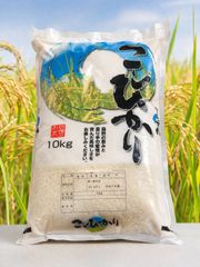 業務用】コシヒカリブレンド米 10kg 青空黄金 送料無料 - メルカリ