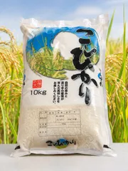 【農家直送】一等米相当　令和7年度　千葉県産　コシヒカリ　精米　10㎏ 未検査米 kome　業務用　送料無料のサムネイル