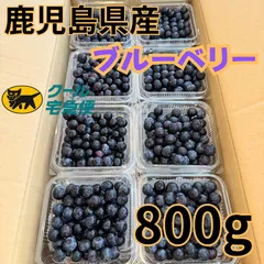 【加工品質】鹿児島県指宿市産ブルーベリー。800kg（100g×8P）24時間以内発送可能。クール便送料無料。即購入OK！のサムネイル