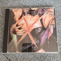 X JAPAN VANISHING VISION CD 엑스 비전 인디즈