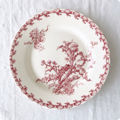 Burleigh エングレイバーズ ピンク マグカップ&22cmプレートセット