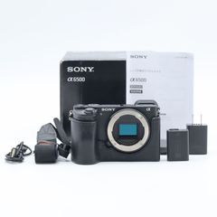 元箱付】SONY α6500 本体 ミラーレス一眼 - メルカリ