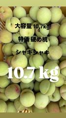 宮崎県産摘果マンゴー・グリーンマンゴー約4.7kg(10~150) - メルカリ