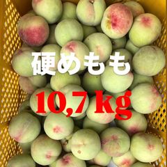 摘果マンゴー 10kg 大玉多数✨✨ - メルカリ