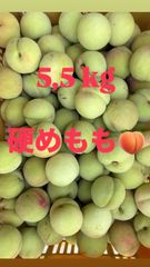 摘果マンゴー✨ 5kg ✨✨ - メルカリ