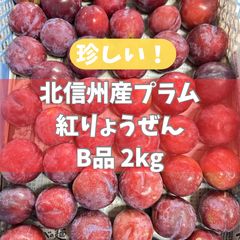 長野県産】大石早生プラム Lサイズ 1kg 秀品 - メルカリ