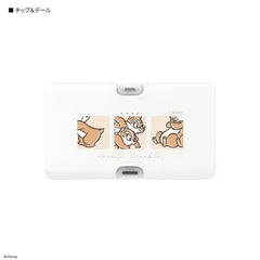 ディズニー Lightning/Type-C リチウムイオン充電器 CD.チップ&デール DNG-219CDのサムネイル