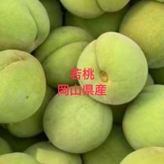 数量限定！注文順収穫！自然肥料のみ！こだわりの清水白桃 大玉 - メルカリ