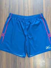 Mizuno ミズノ MCライン ヴァンフォーレ甲府モデル サッカーパンツ Lのサムネイル