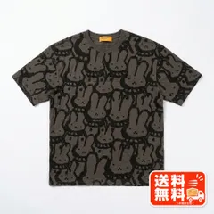 NAOMHETU ナオムヘトゥ 総柄プリント 半袖Tシャツ グレー ACDC RAG風のサムネイル