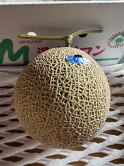 ショップ提供 クール便 送料無料 温室メロン 2玉入り メロン アールスメロン 果物 マスクメロン 大玉 ギフトのサムネイル