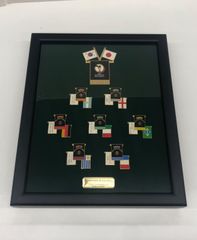 額装品】 1998年 FIFA ワールドカップ フランス大会 記念切手シート