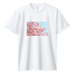 ゴッホ展オリジナル Tシャツ 花咲くアーモンドの木の枝 ゴッホ