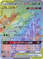 フェローチェ&マッシブーンGX HR サン&ムーン 強化拡張パック