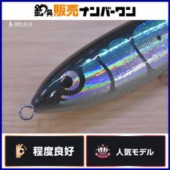 カーペンター ブルーフィッシュ 100 Carpenter BLUE FISH 100
