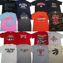 古着卸 まとめ売り 企業 Tシャツ 16枚セット ( メンズ XL ) ペプシ