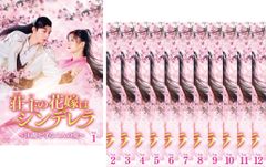 全巻セット【中古】DVD▼リスクの神様(5枚セット)第1話～第10話 最終 レンタル落ち リスクの神様(5枚セット)第1話～第10話 最終【全巻セット 邦画 中古
