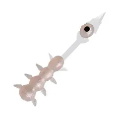 XESTA ゼスタ カミテール イクラ虫 1.2インチ #04 LPW アイボールのサムネイル