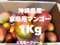 数量限定タイムSALE！沖縄産地直送、クール便込！【完熟マンゴー🥭】傷あり家庭用1Kgのサムネイル