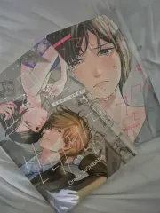 プロミス シンデレラ 1 2 巻 出品 (ホタルの 婚礼 作家様 前作)のサムネイル