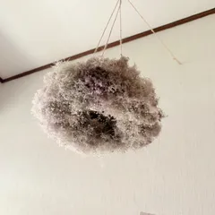 スモークツリー かすみ草 フライングリース ML 25cm ＊ ふわふわ ドライフラワー ⑦のサムネイル