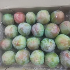 ソルダムのサムネイル