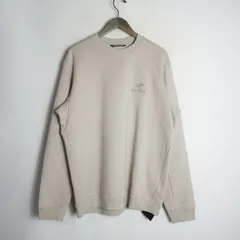 国内正規 極美品 25AW ARC'TERYX アークテリクス EMBLEM FLEECE CREW エンブレム フリース クルー スウェット X000009787 RUNE 薄灰 4417Q♪のサムネイル