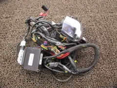 ハーレー XL1200C メインハーネス ホーン ▲B9393！イグニッションコイル CT3 ハーレーダビッドソン 【 CT3 】 FI インジェクションのサムネイル