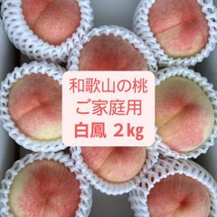山梨一宮の甘い桃 特大サイズを6個詰めて発送 今が旬だね ちくりん