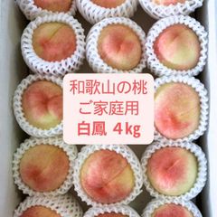 岡山県産一宮ブランド白鳳家庭用 - メルカリ